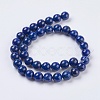 Natural Lapis Lazuli Beads Strands X-G-G423-10mm-A-2