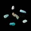 Natural Amazonite Chip Beads X-G-M364-04A-2