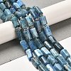 Natural Apatite Beads Strands G-N327-06-27-2