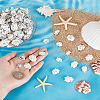 400G Natural Shell Beads SHEL-GA0002-31-3
