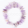 Natural Amethyst Gemstone Bead Strands G-E242-01-2