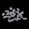 Transparent Acrylic Charms TACR-G050-02D-2