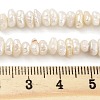 Natural Keshi Pearl Cultured Freshwater Pearl Beads Strands PEAR-C003-31B-5
