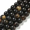 Natural Phlogopite Beads Strands G-P546-A01-03-2