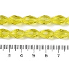 Transparent Glass Beads Strands EGLA-N013-T10mm-D26-4