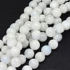 Natural Rainbow Moonstone Beads Strands G-F602-03-10mm-1