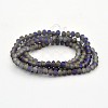 Full Rainbow Plated Faceted Rondelle Glass Beads Strands EGLA-J081-3x2mm-FR01-2