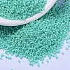 MIYUKI Delica Beads X-SEED-J020-DB2122-1