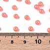 Glass Seed Beads SEED-T007-01E-4