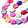 Natural Freshwater Shell Beads Strands SHEL-S278-021-3