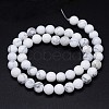 Round Natural Howlite Bead Strands LS-G-F222-14-10mm-3