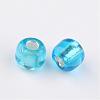 6/0 Round Silver Lined Round Hole Glass Seed Beads X-SEED-A005-4mm-23B-2