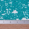 MIYUKI Delica Beads SEED-MY11-DB0793-4