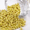 8/0 Glass Seed Beads SEED-A012-3mm-122-1