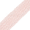 Glass Beads Strands EGLA-A034-T6mm-D22-2