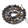 Natural Serpentine Beads Strands G-S333-10mm-015-2