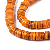 Natural Freshwater Shell Beads Strands X-BSHE-I016A-01G-3