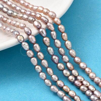 Natural Cultured Freshwater Pearl Beads Strands PEAR-I007-01P-04B-1