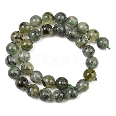 Natural Prehnite Beads Strands G-P322-48-6mm-1