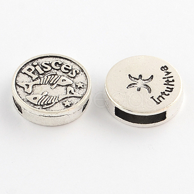 Antique Silver Plated Tibetan Style Flat Round Alloy Slide Charms TIBEB-Q063-11AS-NR-1