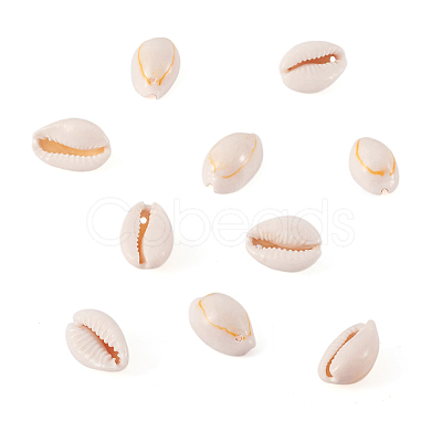 Natural Cowrie Shell Beads BSHE-TA0001-01-1