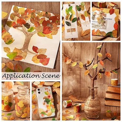 Paper Fallen Leaves Sticker Rolls DIY-C080-01G-1