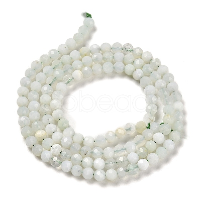 Natural Green Opal Beads Strands G-Z035-A02-02C-1