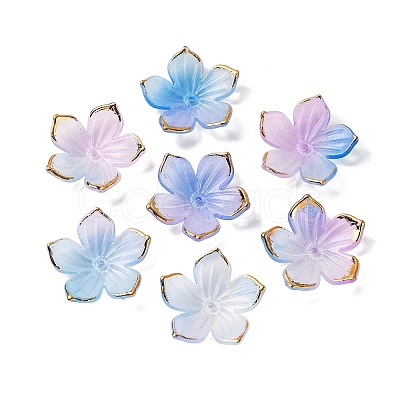 Transparent Acrylic Bead Caps TACR-P011-03E-1