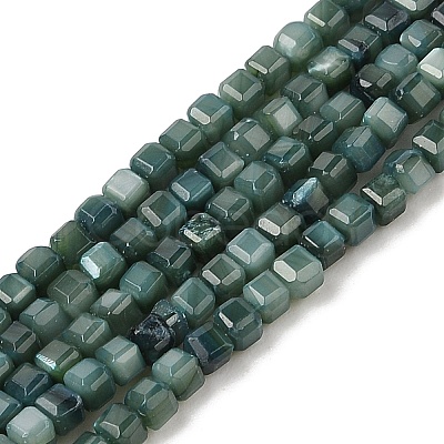 Natural Freshwater Shell Dyed Beads Strands SHEL-R100-11A-05-1