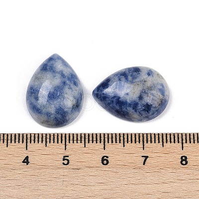 Natural Blue Spot Jasper Cabochons G-H094-01A-22-1