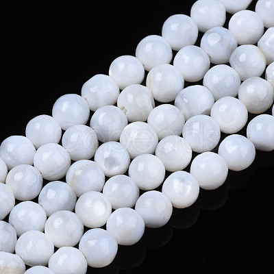 Natural Freshwater Shell Beads Strands SHEL-N003-24-1
