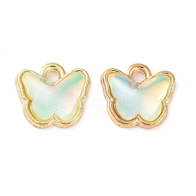 Rack Plating Alloy Glass Charms FIND-Q099-07G-05-1