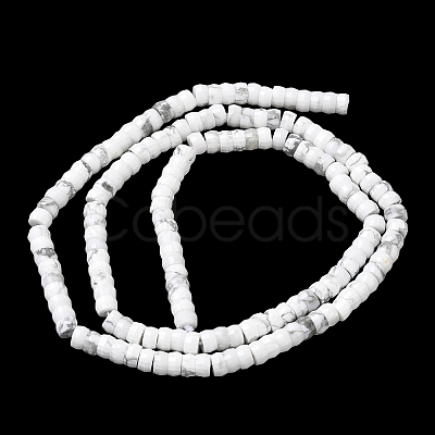 Natural Howlite Heishi Beads Strands G-A299-A08-01-1
