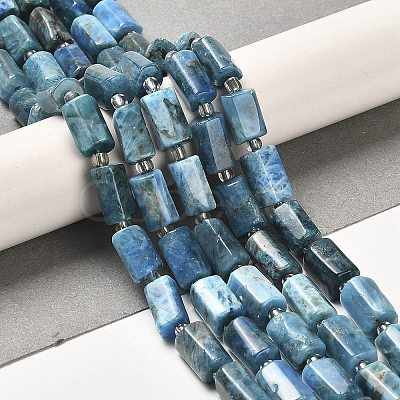 Natural Apatite Beads Strands G-N327-06-27-1