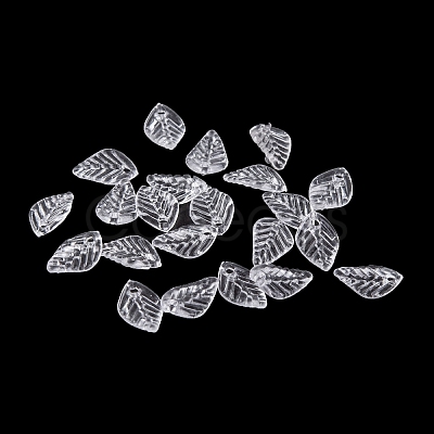 Transparent Acrylic Charms TACR-G050-02D-1