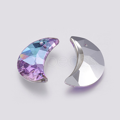 K9 Glass Rhinestone Pendants GLAA-K034-G02-1