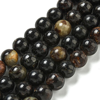 Natural Phlogopite Beads Strands G-P546-A01-03-1