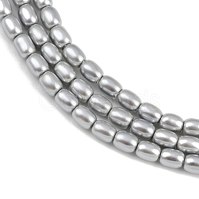 Electroplated Shell Pearl Beads Strands BSHE-H113-06A-08-1