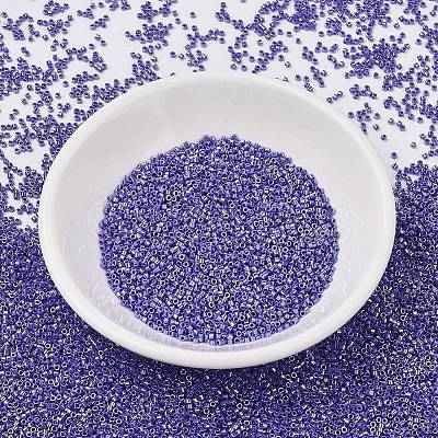 MIYUKI Delica Beads SEED-X0054-DB1569-1