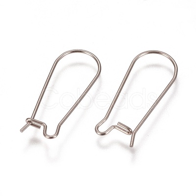 Tarnish Resistant 304 Stainless Steel Hoop Earrings Findings Kidney Ear Wires STAS-L216-22B-P-1