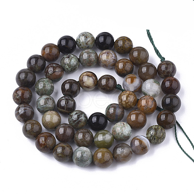 Natural Serpentine Beads Strands G-S333-10mm-015-1