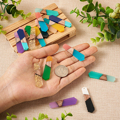 18Pcs 9 Styles Resin & Walnut Wood Pendants RESI-BT0001-25-1