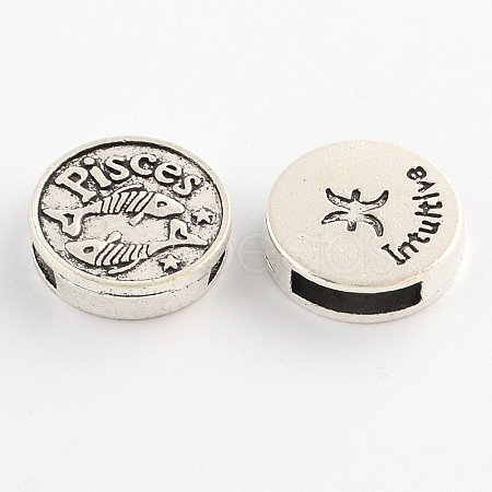 Antique Silver Plated Tibetan Style Flat Round Alloy Slide Charms TIBEB-Q063-11AS-NR-1