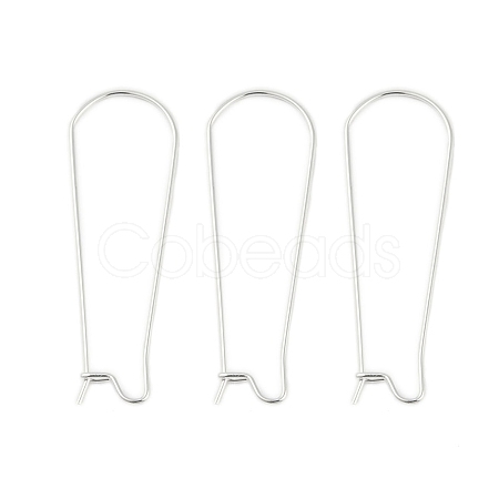 304 Stainless Steel Hoop Earring Findings STAS-P223-01S-05-1