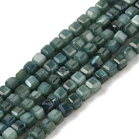 Natural Freshwater Shell Dyed Beads Strands SHEL-R100-11A-05-1
