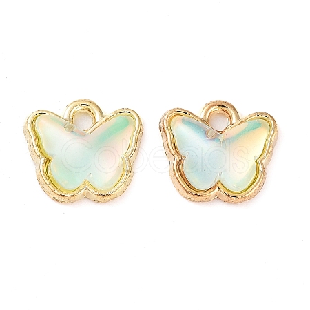 Rack Plating Alloy Glass Charms FIND-Q099-07G-05-1