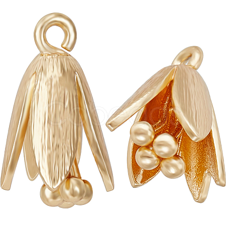 8Pcs Brass Charms KK-BBC0012-11-1