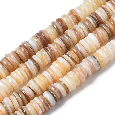 Natural Freshwater Shell Beads Strands SHEL-Q025-001-1