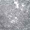 Transparent Inside Colours Glass Seed Beads SEED-H003-04D-3