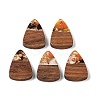 Resin & Wood Pendants WOOD-S061-02N-1